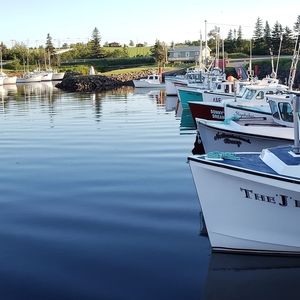 Meet your Posher, Tamara